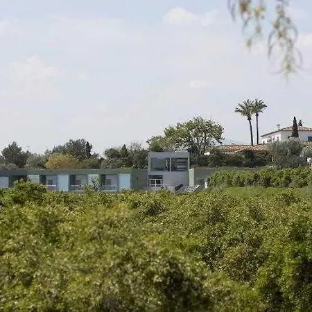 Sh Mas De Canicatti Oliva